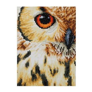Diamond Painting Uggla 22x22cm
