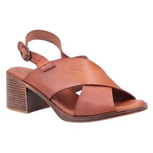 Hush Puppies Gabrielle (Dam)