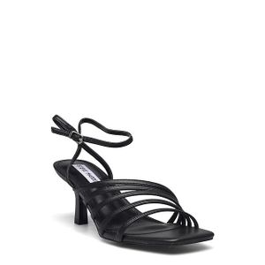 Steve Madden Aglow (Dam)