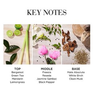 Elizabeth Arden Green Tea Citron Freesia edt 100ml