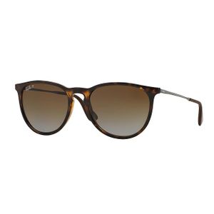 Ray-Ban RB4171 Erika Polarized
