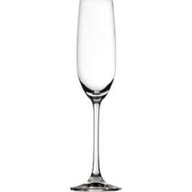 Spiegelau Salute Champagneglas 21cl 12-pack