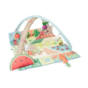 Skip Hop Farmstand Babygym