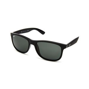 Ray-Ban RB4202 Andy