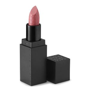 Make Up Store Lipstick