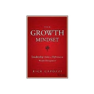 The Growth Mindset Leadership Makes a Difference in Wealth Management Engelska Hardback