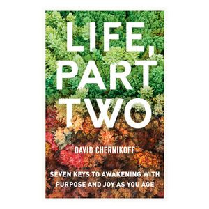 David Chernikoff: Life, Part Two