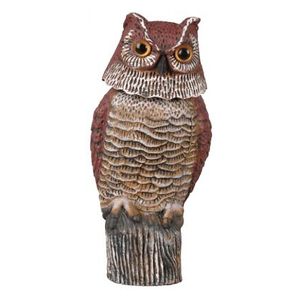 Uggla med rörligt huvud