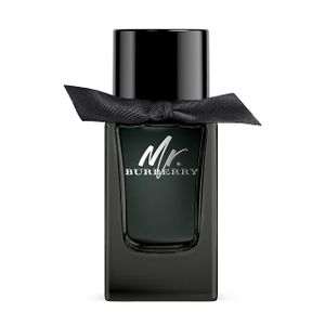 Burberry Mr. Burberry edp 100ml
