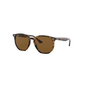 Ray-Ban RB4306 Polarized