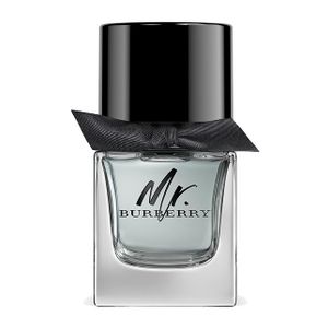 Burberry Mr. Burberry edt 100ml