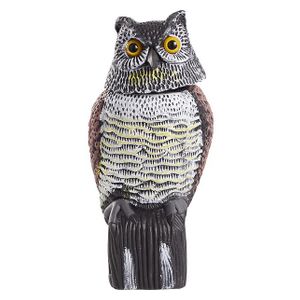 Grouw Fågelskrämma Uggla Rörligt Huvud