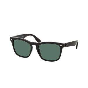 Ray-Ban Steve RB4487 662971