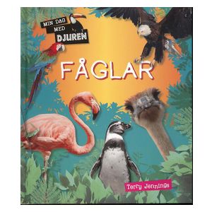 Min Dag Med Djuren Fåglar