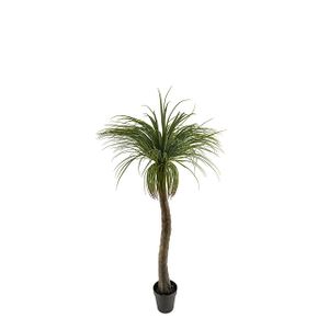 Mr Plant Konstväxt Flasklilja 101404P