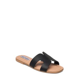 Steve Madden Zarnia (Dam)