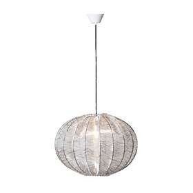 Watt & Veke Boll Oval 65